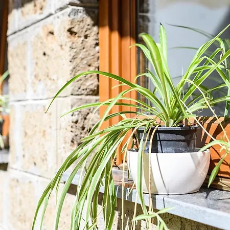 Sorrento Coast - Esclusiva Le Camelie Apartment *